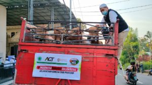 ACT dan MUI Distribusikan 1.000 Sapi Kurban dan Pangan Gratis ke Jawa-Bali