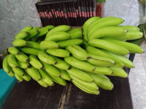 Barang bukti, setandan pisang