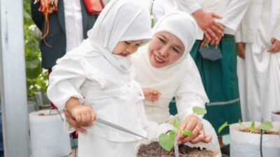 Khofifah Gubernur Jatim Ajak Cucu Tanam dan  Panen Golden Melon di Green House Masjid Al Akbar
