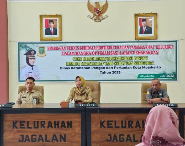 Pemkot Mojokerto Gelar Bimtek Budidaya Hortikultura
