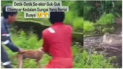 Biadab, Viral Video Anjing Dilempar Hidup-hidup ke Sungai Berisi Buaya