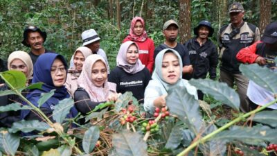 Bupati Mojokerto Dorong Petani Kopi Tingkatkan Kapasitas Produksi