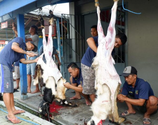 Kebersamaan Warga Binaan di Lapas Mojokerto Rayakan Idul Adha, Sembelih 15 Ekor Kambing
