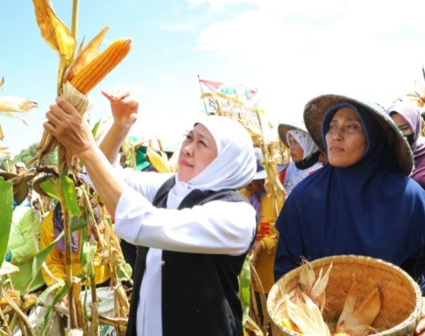 Khofifah: Peningkatan Produktivitas Pertanian Harus Selaras dengan Kesejahteraan Petani