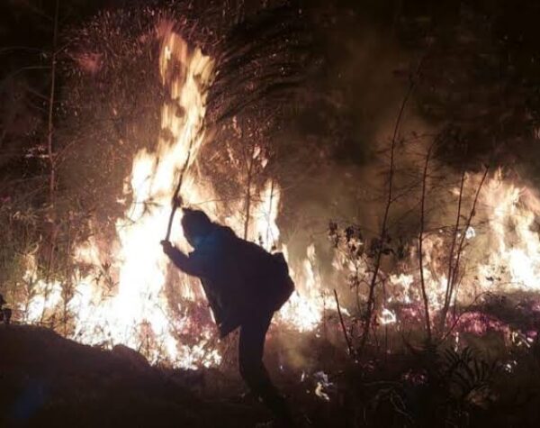 Tak Patuh, 14 Pendaki Mojokerto Kena Blacklist