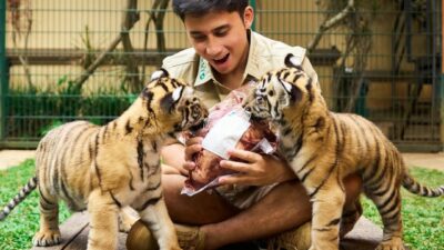 Kasus Anak Harimau Mati Milik Alshad Ahmad, Izin Penangkaran Dilanggar?