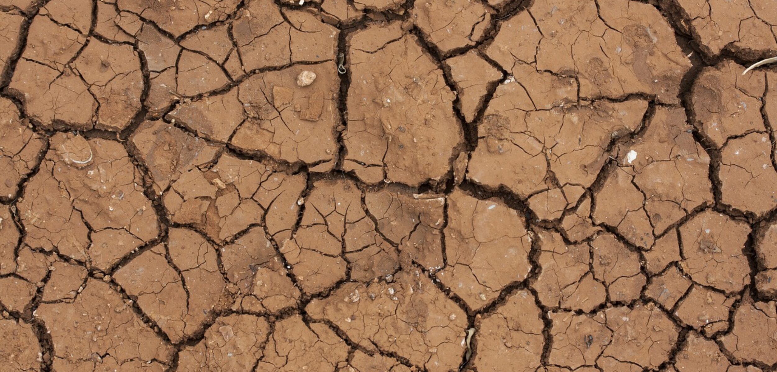 Masuk Waktu Puncak Kemarau, Banyuwangi Alami Cuaca Ekstrem