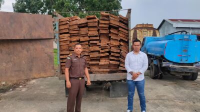Pelaku Illegal Logging Divonis Ringan, Jaksa Ajukan Banding