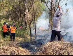 Kebakaran Hutan di TNBTS Ranupani Lumajang Berhasil Dipadamkan Polisi dan Petugas Gabungan