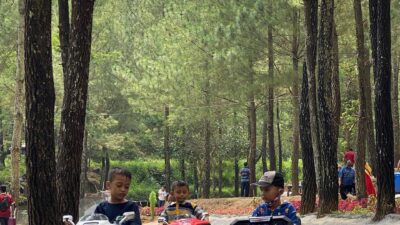 185329955 834116387504914 9053264913379058990 n