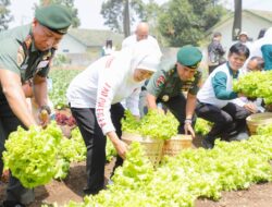 Khofifah: Tanaman Hortikultura Perlu Pengembangan Akses Market