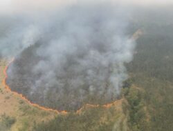 Akibat Buruk Gunung Arjuno Terbakar, Hutan Seluas 1.200 Hektare Membara