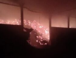 Belum Padam, Ini Penyebab Terbakarnya Pabrik Penyimpanan Jamur di Mojokerto