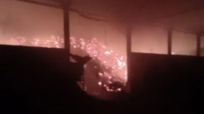 Belum Padam, Ini Penyebab Terbakarnya Pabrik Penyimpanan Jamur di Mojokerto