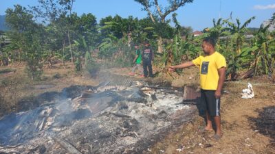 Kebakaran kandang kambing di Desa Tamiajeng, Kecamatan Trawas, Kabupaten Mojokerto, Minggu (8/10/2023) siang (redaksi)