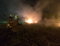 3 Mobil Damkar Padamkan Kebakaran Ladang Tebu di Sooko Mojokerto, Warga Panik