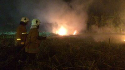 Petugas berusaha memadamkan api yang membakar kadang tebu di Sooko Mojokerto, Minggu (8/10/2023). (Erix/KabarTerdepan.com) 