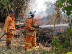 Kronologi Kebakaran Kebun Bambu di Mojokerto, Satu Orang Dilarikan ke Rumah Sakit