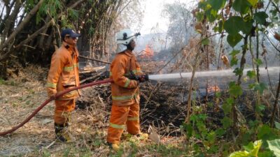 Petugas BPBD Kabupaten Mojokerto berusaha memadamkan api yang membakar kebun bambu, Rabu (11/10/2023). (Erix/KT)