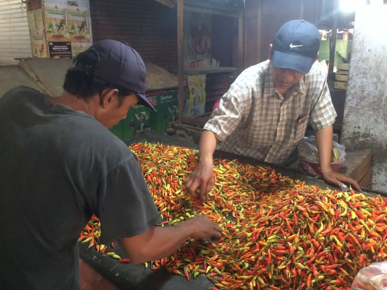 Penjual cabai rawit di Pasar Tanjung (Erix / KT)