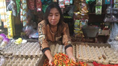 Penjual di Pasar Tanjung Anyar Kota Mojokerto akui tingginya kenaikan harga cabai rawit, Jumat (27/10/2023). (Erix/KabarTerdepan.com) 