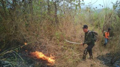 Petugas tim gabungan berusaha memadamkan api yang membakar hutan di Bukit Kencur Mojokerto, Sabtu (30/9/2023). (Dok.BPBD Kabupaten Mojokerto) 