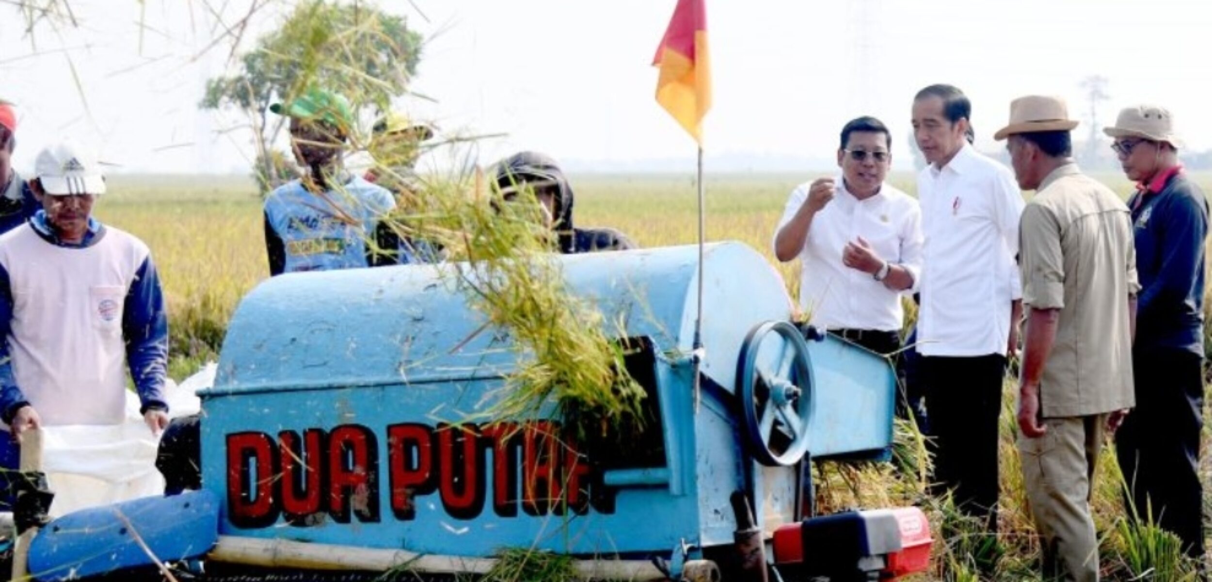 Presiden Jokowi saat menghadiri panen raya di Subang, Jawa Barat, Minggu (8/10/2023). (Setkab.go.id)