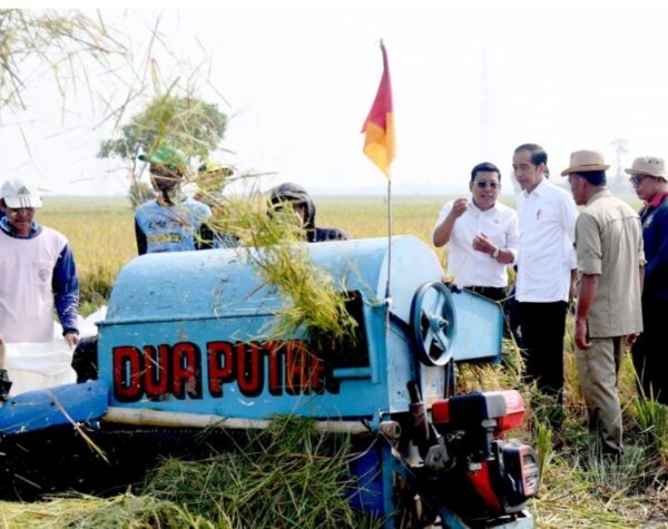 Presiden Jokowi Ungkap Strategi Kendalikan Harga Beras