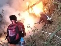 Lereng Gunung Penanggungan Terbakar, 85 Petugas Gabungan Diterjunkan