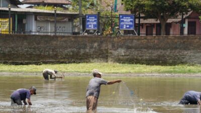 Sejumlah warga berburu ikan di Kolam Segaran Mojokerto yang mengering, Rabu (25/10/2023). (Erix/KT)