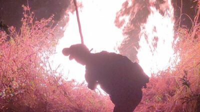 Petugas berjibaku memadamkan api di hutan Gunung Anjasmoro, Jumat (27/10/2023). (Dok. BPBD Kabupaten Mojokerto) 