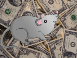 Ketika Korupsi Mengalir Sampai Jauh