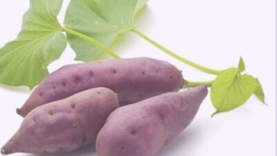 Kampanye Mengurangi Makan Nasi