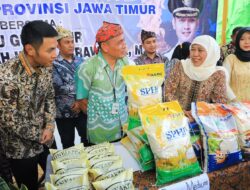 Sambut HUT Ke-78 Provinsi Jatim, Gubernur Khofifah Gelar Pasar Murah