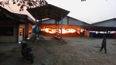 Sebuah pabrik penyimpanan jamur di Desa Dinoyo, Kecamatan Gondang, Kabupaten Mojokerto ludes dilahap si jago merah. Jumat (6/10/2023) sore (Hasan / KabarTerdepan.com)