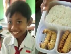 Viral Video Siswa SD Bawa Bekal Ulat Sagu, Netizen Kritik Sang Guru