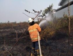 Lahan Ilalang di Mojokerto Terbakar, Karyawan Pabrik Panik