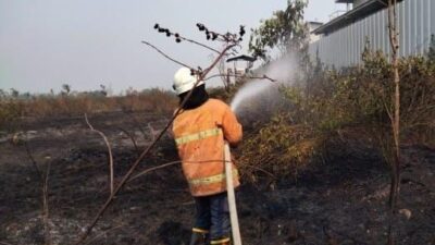 Petugas berusaha memadamkan api yang bebakar ilalang agar tidak merambat ke pabrik pemotongan ayam di Mojokerto. (BPBD Kabupaten Mojokerto) 