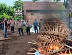 Area Judi Sabung Ayam di Pungging Mojokerto Dibakar Petugas Gabungan