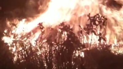 Tangkapan layar video kebakaran di Gunung Penanggungan, Kamis (2/11/2023) (Lintang / Kabarterdepan.com)