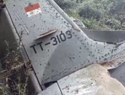 Nomor ekor pesawat TT-3103 yang diabadikan warga di sekitar tempat jatuhnya pesawat tempur di Pasuruan. (Tangkapan layar video)