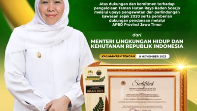 WhatsApp Image 2023 11 09 at 17.30.09 1