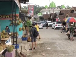 Omzet Kampung Durian Trawas Mencapai Puluhan Juta Rupiah Setiap Weekend