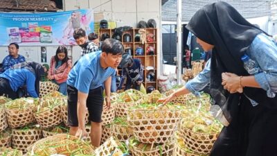 BDC44368 2B94 4AAB B31E 1B9670F943A2