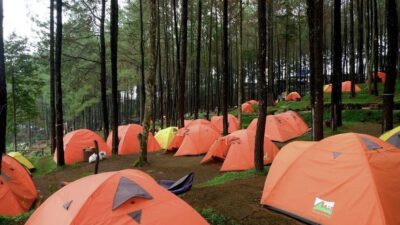 Rekomendasi 4 Tempat Camping di Mojokerto, Cocok Buat Tahun Baruan