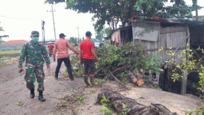 (BPBD Kabupaten Mojokerto) 