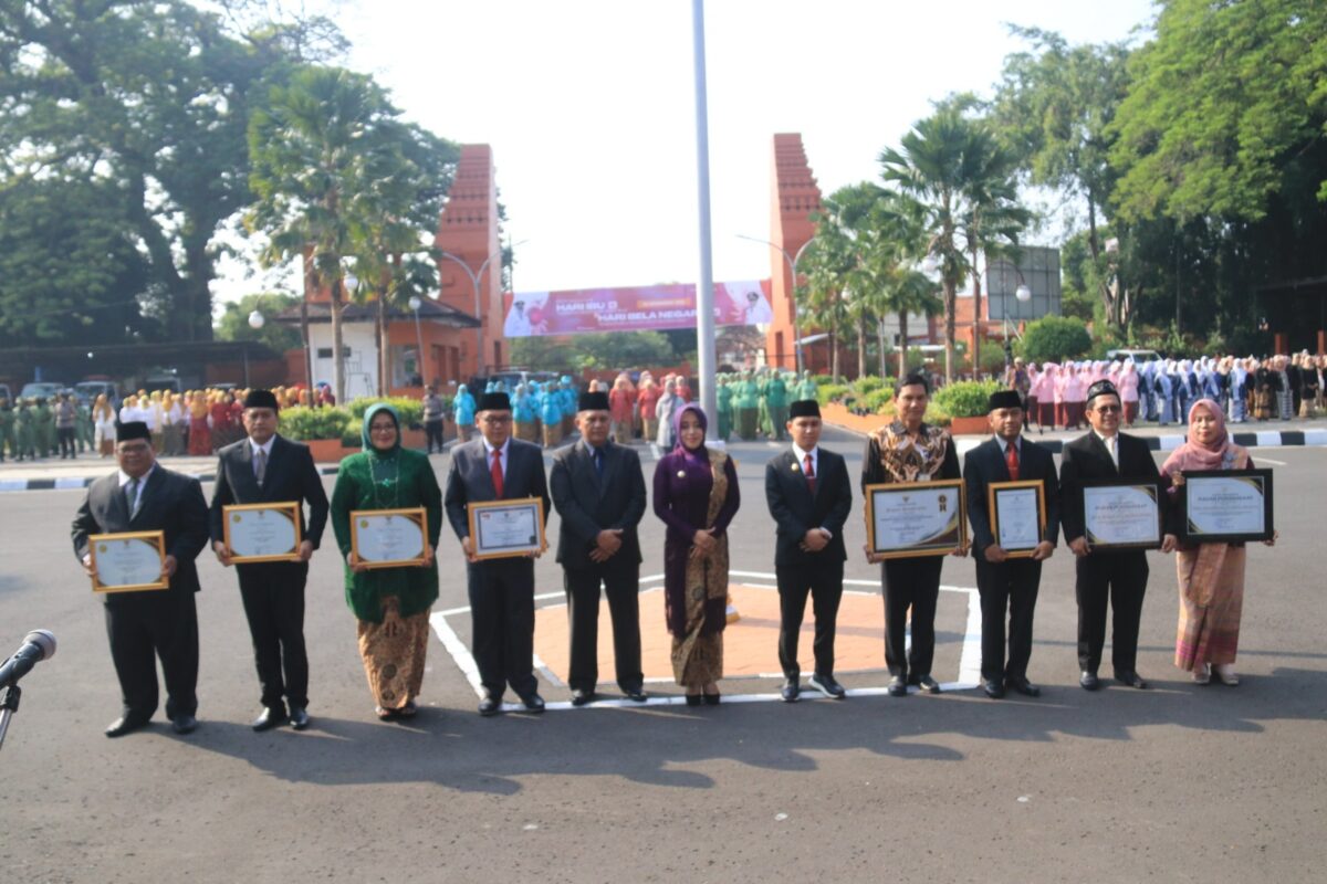 WhatsApp Image 2023 12 22 at 3.53.38 PM