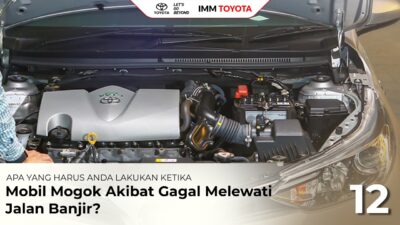 69ED70CC A126 4BDA 88C4 F0B0A9DB7C91