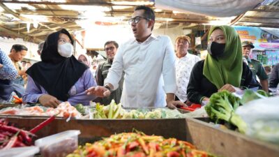 855058a4b62f2531b15c07cf4350c14a