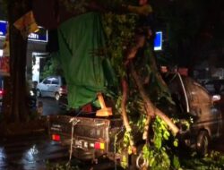 Hendak Kirim Lemari, Pikap Asal Pasuruan Tertimpa Ranting Pohon di Mojokerto